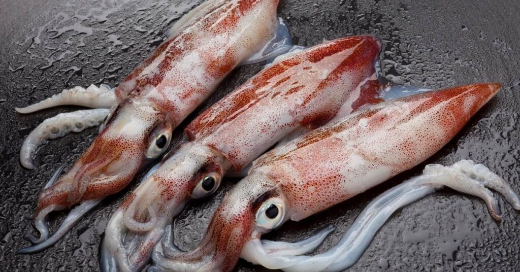 Ingredientes para cocinar croquetas de calamares