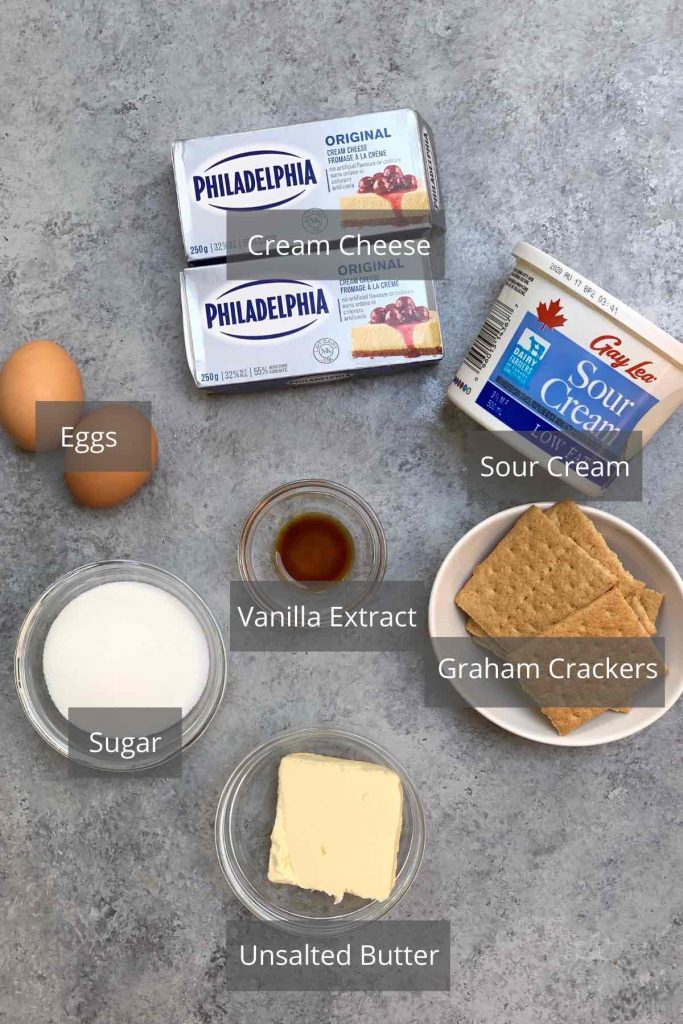 Ingredientes de tarta de queso al vacío en el mostrador.