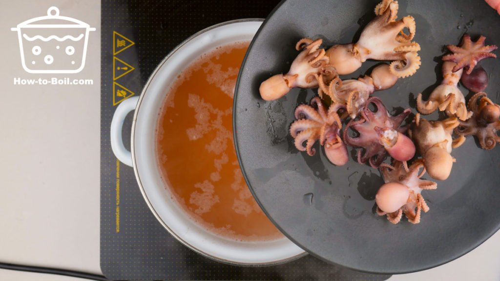 pulpo hervido en la placa