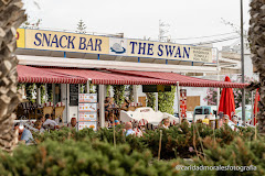 Imagen Bar Pub The swan