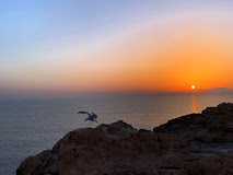 Fotografía de Tropic 222 Torrevieja