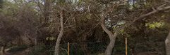 Fotografía de Kiosco Cala Boix