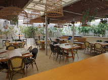 Fotografía de Allende 22º