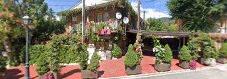 Fotografía de Restaurante El Porron de Navacerrada
