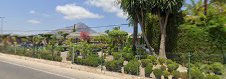Imagen Montgo Verd Jardineria y Restaurante