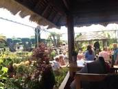 Fotografía de Montgo Verd Jardineria y Restaurante