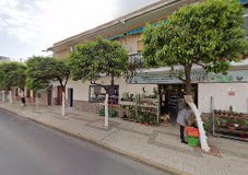 Imagen Massala