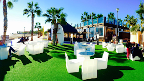 Fotografía de Spinosa