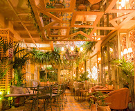 Imagen El Invernadero de Salvador Bachiller