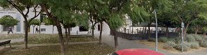 Fotografía de Society