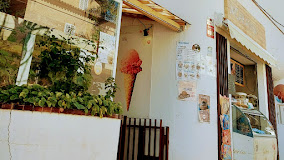 Imagen Jacaranda
