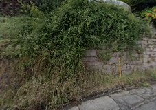 Fotografía de Catering Don Pepe