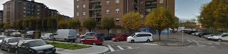 Fotografía de Nuevo pino