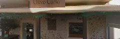 Imagen Olivo Corso