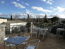 Fotografía de The rooster