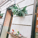 Imagen cafe green bakery