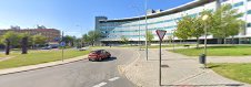 Fotografía de Rodilla - Plaza de la Encina