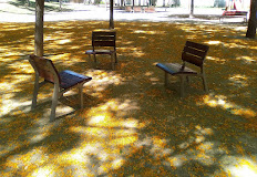 Imagen Bar Restaurante Caçador