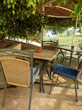 Fotografía de Restaurante Terraza del Gato