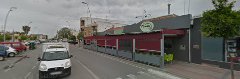 Fotografía de El camaleon