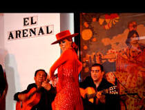 Fotografía de Tablao el Arenal