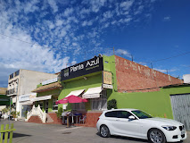 Imagen Planta Azul