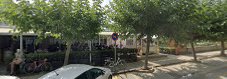 Fotografía de La Carpa De l'Estany