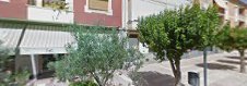 Fotografía de El Olivar