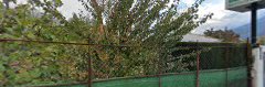 Fotografía de La huerta del Fraiile