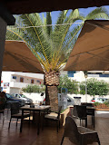 Fotografía de Restaurante Ca"n Bernat Castell SL.