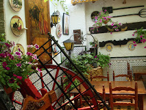Imagen EL PATIO ANDALUZ