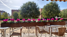 Imagen Granja Cafeteria La Mila