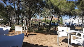 Fotografía de Los pinos