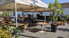 Imagen Taberna Pizzeria Rincon Del Enano