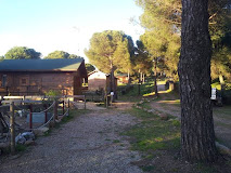 Restaurante Restaurante Paraje San Gines en Andújar