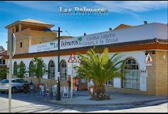Fotografía de las palmeras