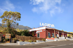 Imagen De Nemesio