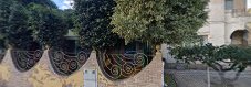 Fotografía de El Jardin de la Salamandra