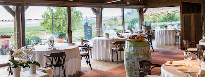 Fotografía de Pago de Cirsus