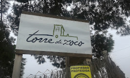 Imagen Torre de Zoco
