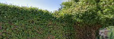 Fotografía de La Terraza Verde