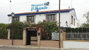 Fotografía de Marisqueria Pescaito