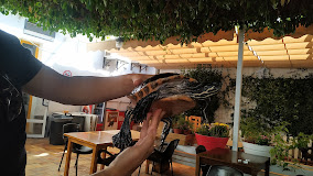 Fotografía de Restaurante El Otro Caldero