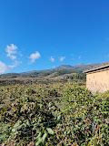 Imagen Lagar De Chasna
