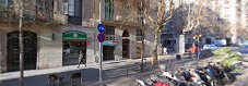 Imagen Ambrosía
