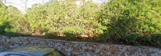 Fotografía de Masia Can Feliu