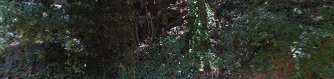 Fotografía de La formatgeria del Montseny